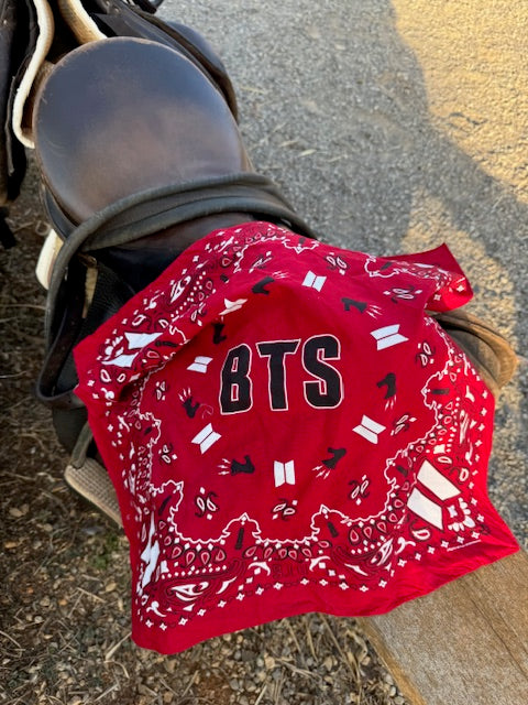 Join Us Behind the Scenes: A Wild Ride to Our Horse Ranch!